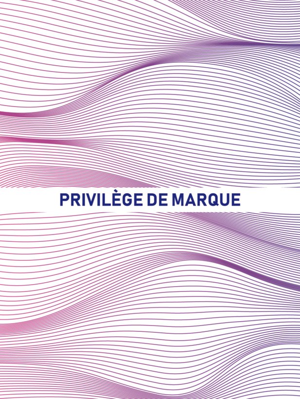 Gabarit Site_Plan de travail 1